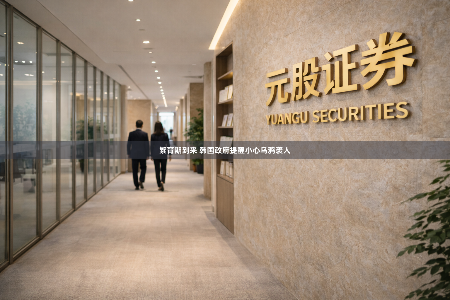 繁育期到来 韩国政府提醒小心乌鸦袭人