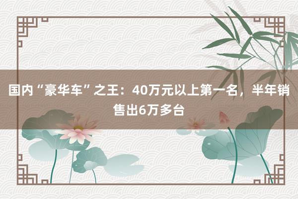 国内“豪华车”之王：40万元以上第一名，半年销售出6万多台