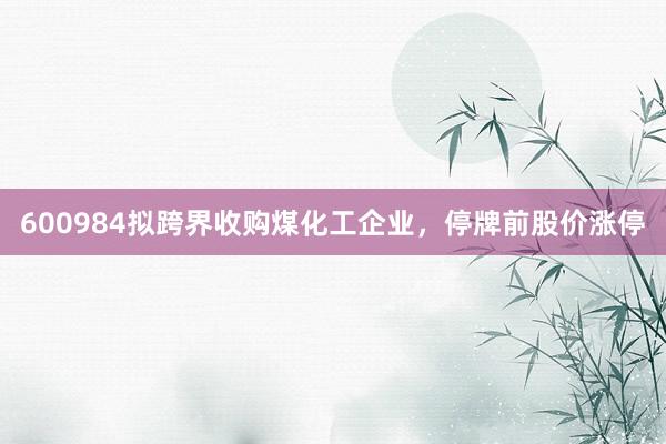 600984拟跨界收购煤化工企业，停牌前股价涨停