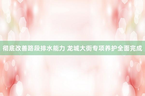 彻底改善路段排水能力 龙城大街专项养护全面完成