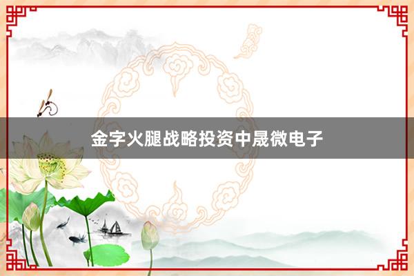 金字火腿战略投资中晟微电子