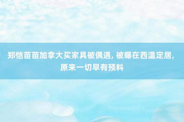 郑恺苗苗加拿大买家具被偶遇, 被曝在西温定居, 原来一切早有预料