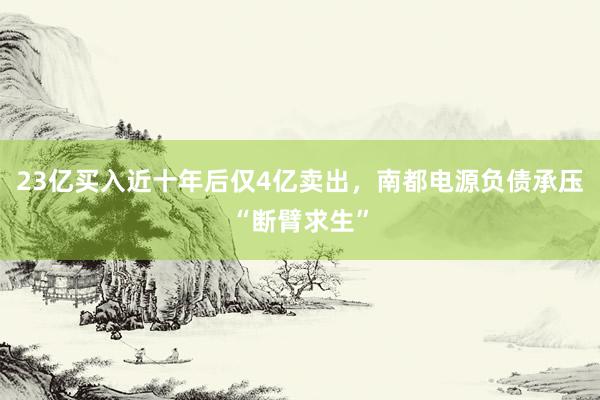 23亿买入近十年后仅4亿卖出，南都电源负债承压“断臂求生”