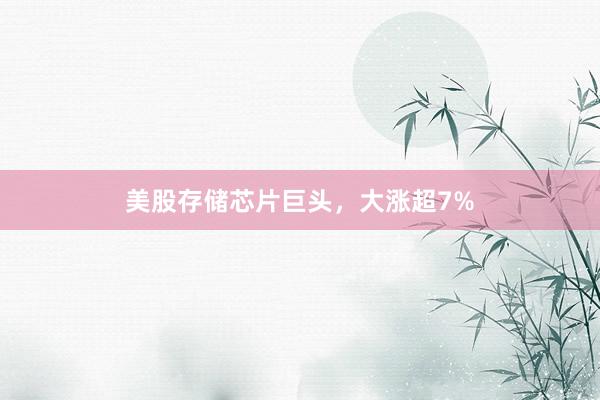 美股存储芯片巨头，大涨超7%