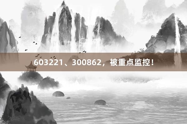 603221、300862，被重点监控！