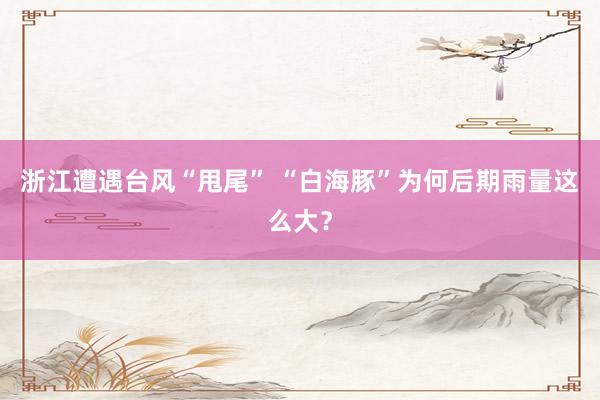 浙江遭遇台风“甩尾” “白海豚”为何后期雨量这么大？