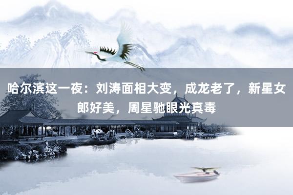 哈尔滨这一夜：刘涛面相大变，成龙老了，新星女郎好美，周星驰眼光真毒