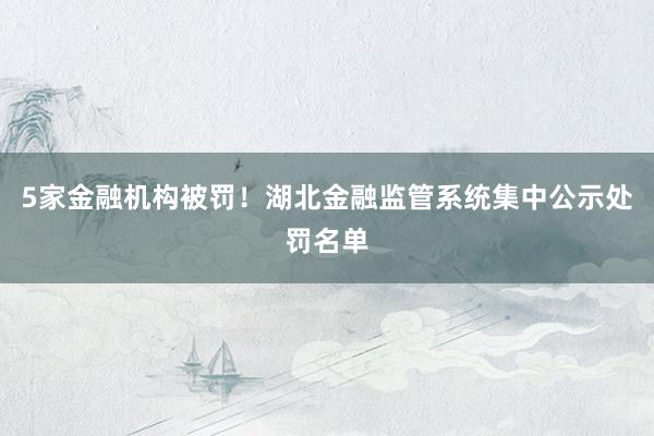 5家金融机构被罚！湖北金融监管系统集中公示处罚名单