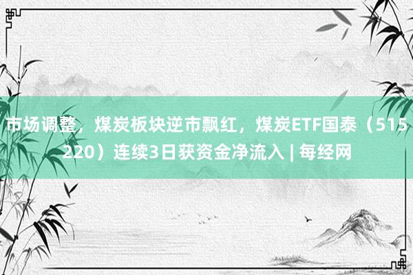市场调整，煤炭板块逆市飘红，煤炭ETF国泰（515220）连续3日获资金净流入 | 每经网