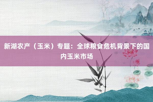 新湖农产（玉米）专题：全球粮食危机背景下的国内玉米市场