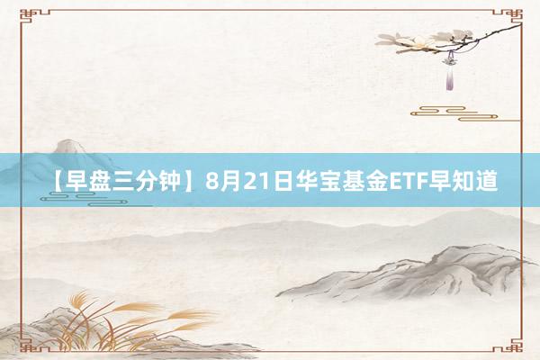【早盘三分钟】8月21日华宝基金ETF早知道