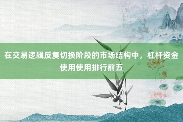 在交易逻辑反复切换阶段的市场结构中，杠杆资金使用使用排行前五