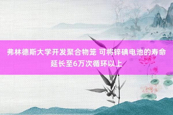 弗林德斯大学开发聚合物笼 可将锌碘电池的寿命延长至6万次循环以上