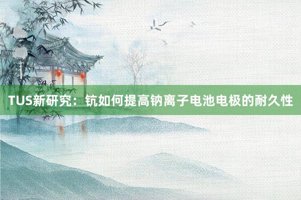 TUS新研究：钪如何提高钠离子电池电极的耐久性