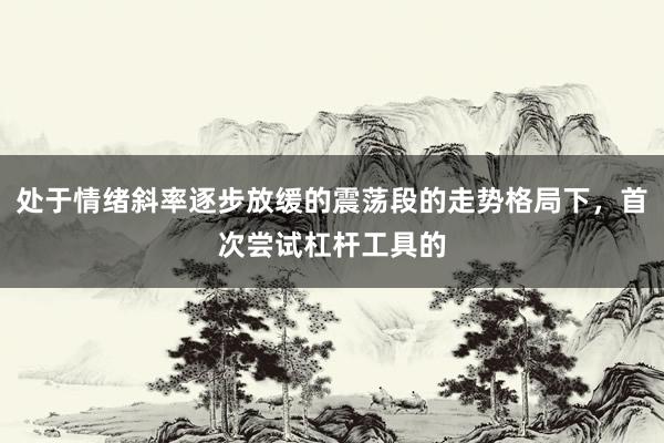 处于情绪斜率逐步放缓的震荡段的走势格局下，首次尝试杠杆工具的