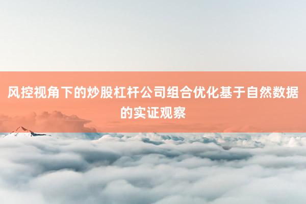 风控视角下的炒股杠杆公司组合优化基于自然数据的实证观察