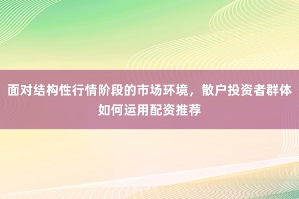 面对结构性行情阶段的市场环境，散户投资者群体如何运用配资推荐