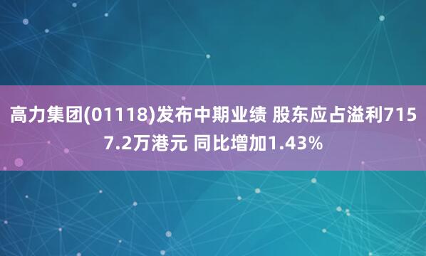 高力集团(01118)发布中期业绩 股东应占溢利7157.2万港元 同比增加1.43%