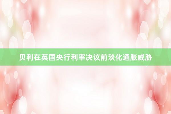 贝利在英国央行利率决议前淡化通胀威胁
