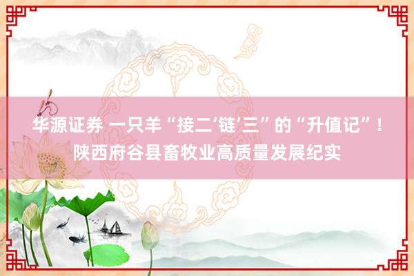 华源证券 一只羊“接二‘链’三”的“升值记”！陕西府谷县畜牧业高质量发展纪实