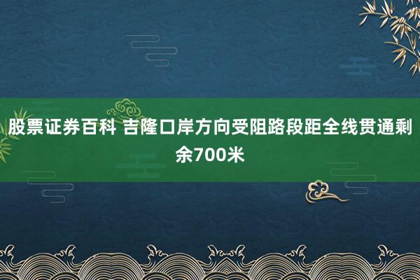 股票证券百科 吉隆口岸方向受阻路段距全线贯通剩余700米