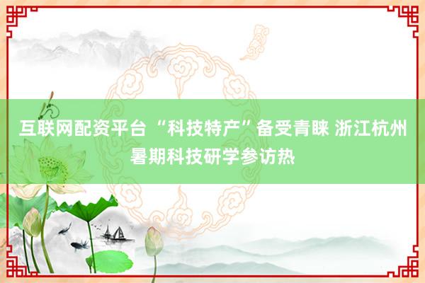 互联网配资平台 “科技特产”备受青睐 浙江杭州暑期科技研学参访热