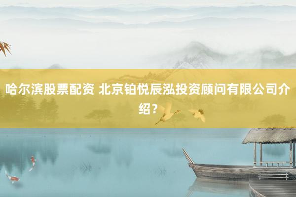 哈尔滨股票配资 北京铂悦辰泓投资顾问有限公司介绍？
