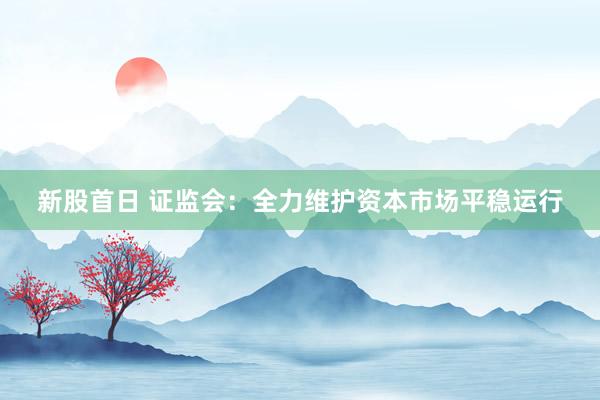新股首日 证监会：全力维护资本市场平稳运行