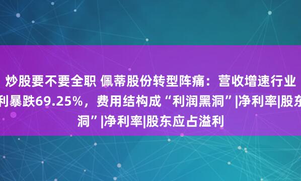 炒股要不要全职 佩蒂股份转型阵痛：营收增速行业垫底，净利暴跌69.25%，费用结构成“利润黑洞”|净利率|股东应占溢利