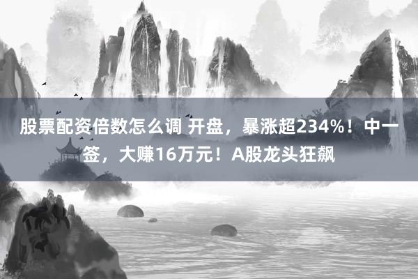 股票配资倍数怎么调 开盘，暴涨超234%！中一签，大赚16万元！A股龙头狂飙