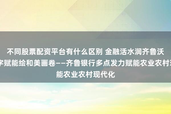 不同股票配资平台有什么区别 金融活水润齐鲁沃土 数字赋能绘和美画卷——齐鲁银行多点发力赋能农业农村现代化