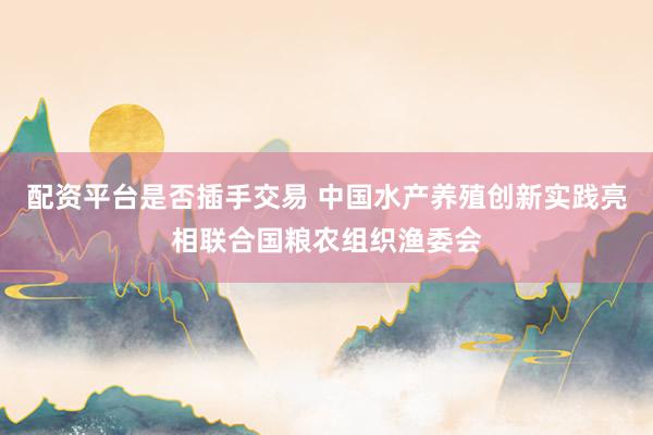 配资平台是否插手交易 中国水产养殖创新实践亮相联合国粮农组织渔委会