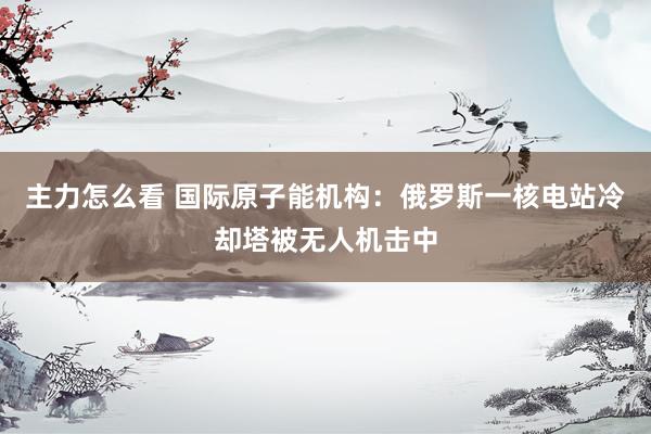 主力怎么看 国际原子能机构：俄罗斯一核电站冷却塔被无人机击中