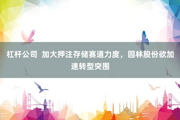 杠杆公司  加大押注存储赛道力度，园林股份欲加速转型突围