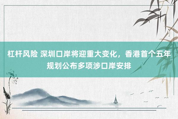 杠杆风险 深圳口岸将迎重大变化，香港首个五年规划公布多项涉口岸安排