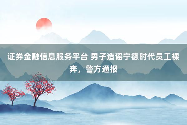 证券金融信息服务平台 男子造谣宁德时代员工裸奔，警方通报